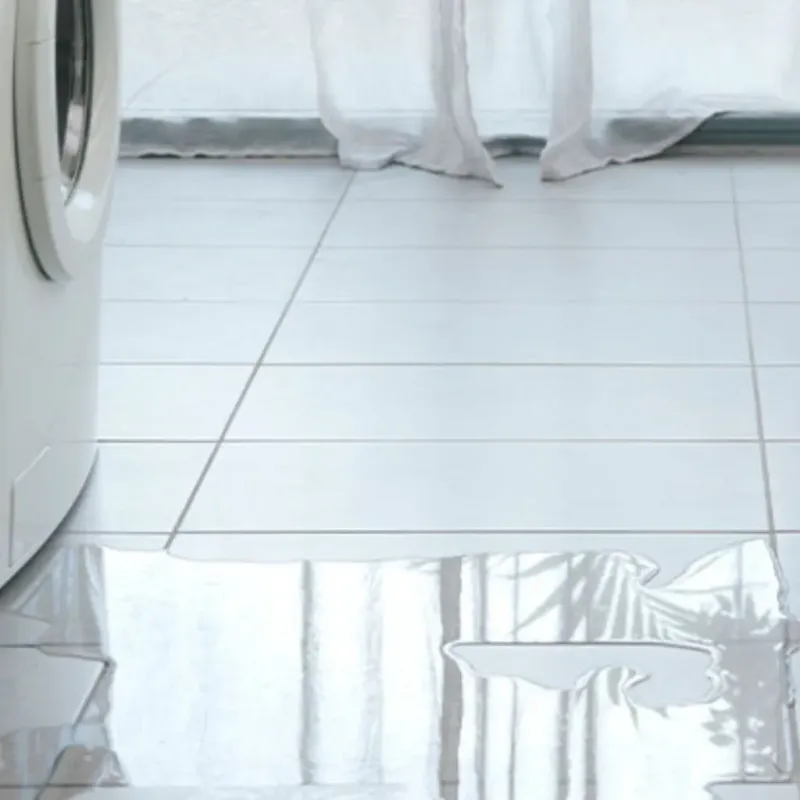 Appliance Leak Cleanup in Wayne, IL