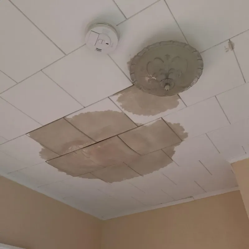 Ceiling Water Damage Repair in Wayne, IL